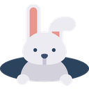 Kelinci Muda
